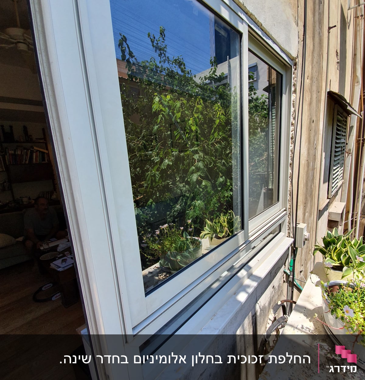 חלון זכוכית עם השתקפות צמחים מבחוץ